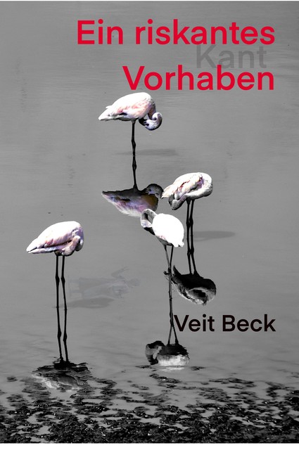 Ein riskantes Vorhaben, Veit Beck