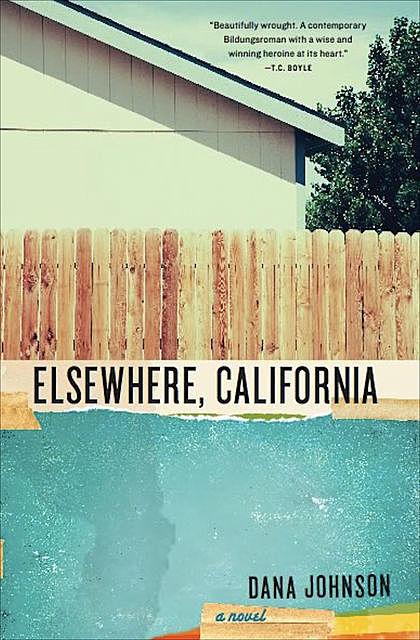 Elsewhere, California, Dana Johnson
