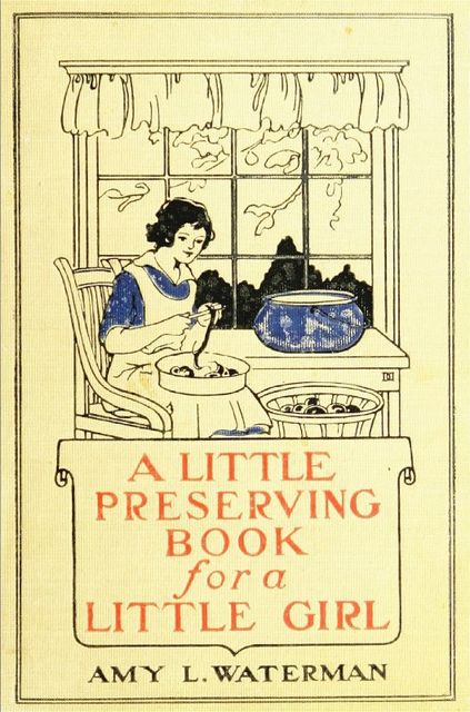 A Little Preserving Book for a Little Girl, Amy Harlow Waterman