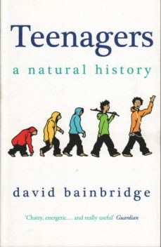 Teenagers, David Bainbridge