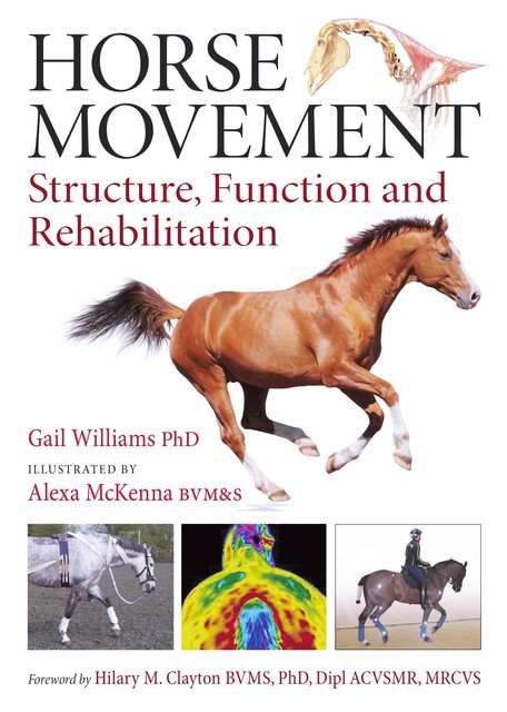 Horse Movement, Gail Williams, Alexa McKenna
