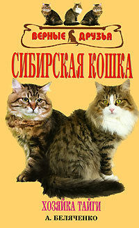 Сибирская кошка, Андрей Беляченко