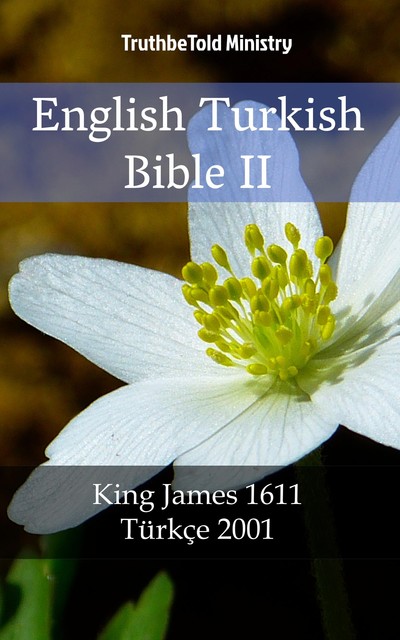 English Turkish Bible II, Joern Andre Halseth