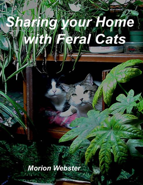 Sharing Your Home With Feral Cats, Morion Webster