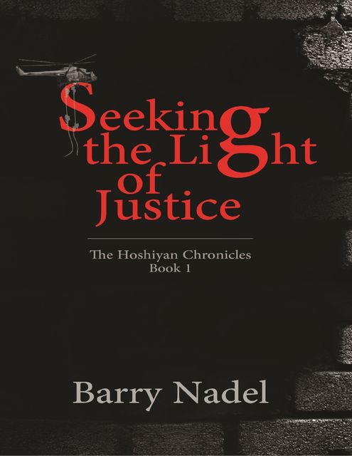 Seeking the Light of Justice, Barry Nadel