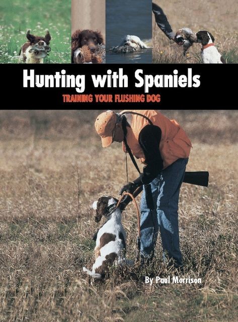 Hunting with Spaniels, Paul Morrison
