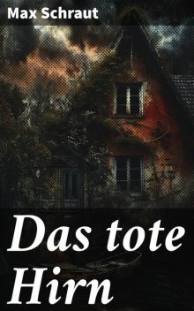 Das tote Hirn, Max Schraut