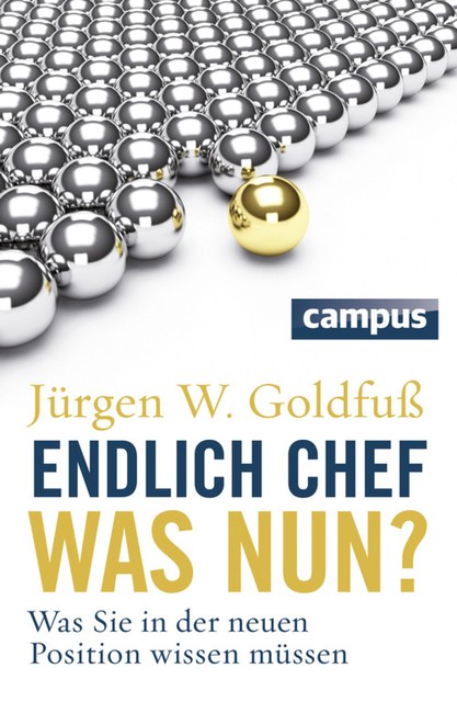 Endlich Chef – was nun, Jürgen W. Goldfuß