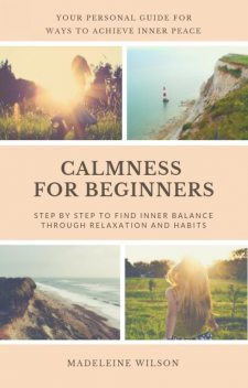 The Key To Daily Serenity, Logan J. Davisson