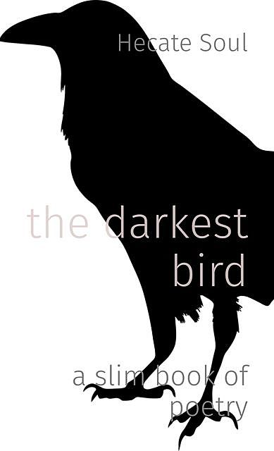 the darkest bird, Jude naples