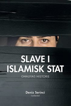 Slave i Islamisk Stat, Deniz B. Serinci