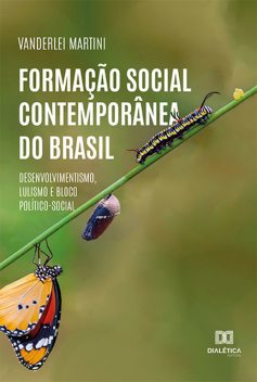 Formação Social Contemporânea do Brasil, Vanderlei Martini