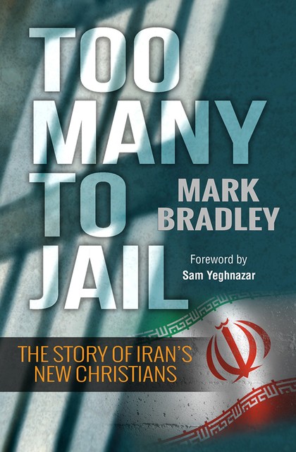 Too Many to Jail, Mark Bradley