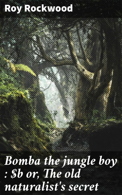 Bomba the jungle boy : or, The old naturalist's secret, Roy Rockwood