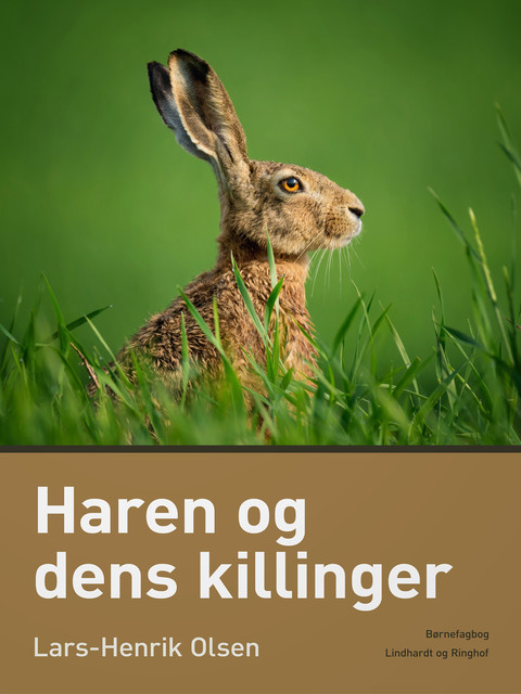 Haren og dens killinger, Lars-Henrik Olsen