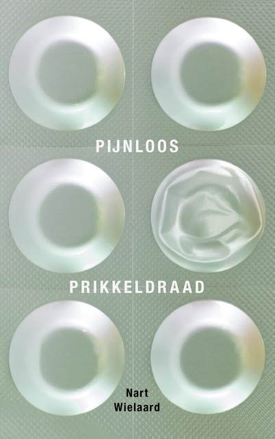 Pijnloos prikkeldraad, Nart Wielaard