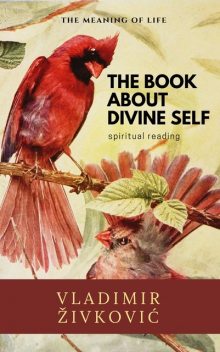 The Book About Divine Self, Vladimir Živković