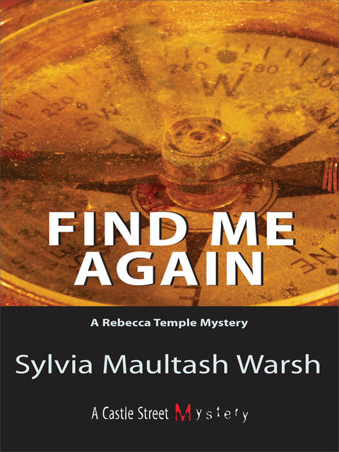 Find Me Again, Sylvia Maultash Warsh