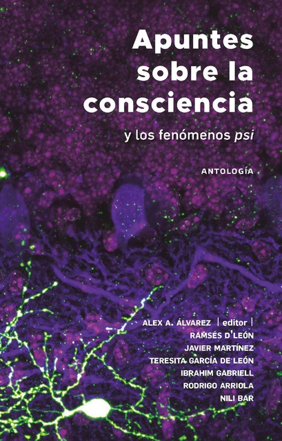 Apuntes sobre la consciencia, Javier Martínez, Ibrahim Gabriell, Alex A. Álvarez, Nili Bar, Ramsés D'León, Rodrigo Arriola, Teresita García de León