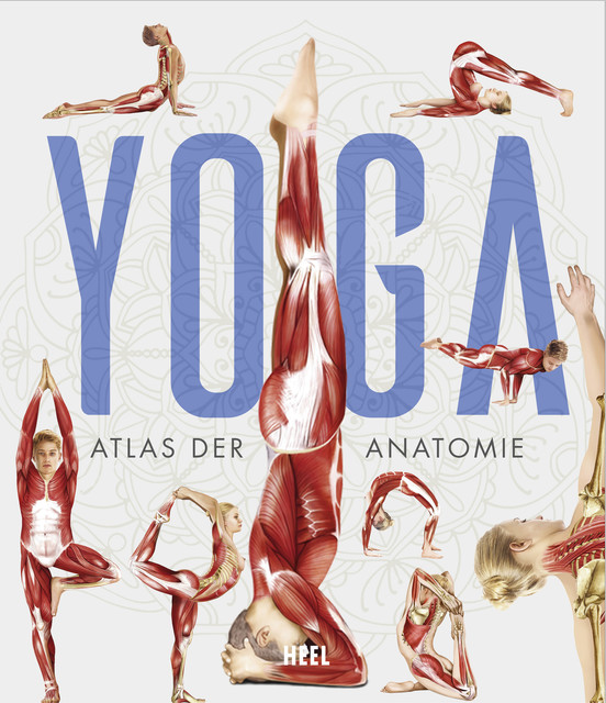 Yoga, ATLAS DER ANATOMIE