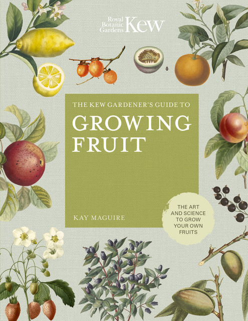 The Kew Gardener's Guide to Growing Fruit, Kay Maguire, Kew Royal Botanic Gardens