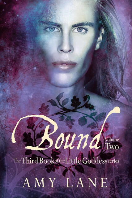 Bound, Vol. 2, Amy Lane