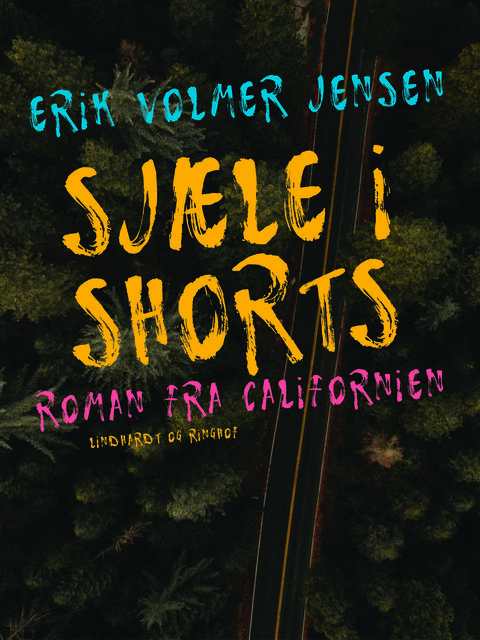Sjæle i Shorts – roman fra Californien, Erik Jensen