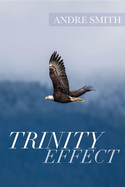 Trinity Effect, Andre Smith
