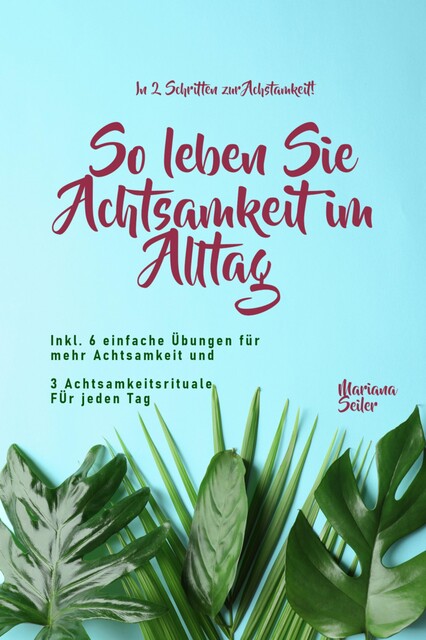 Achtsamkeit: IN 2 SCHRITTEN ZUR ACHTSAMKEIT! So leben Sie Achtsamkeit im Alltag, Mariana Seiler