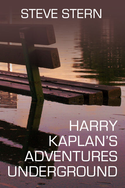 Harry Kaplan's Adventures Underground, Steve Stern