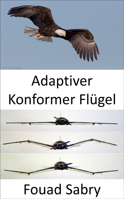 Adaptiver Konformer Flügel, Fouad Sabry