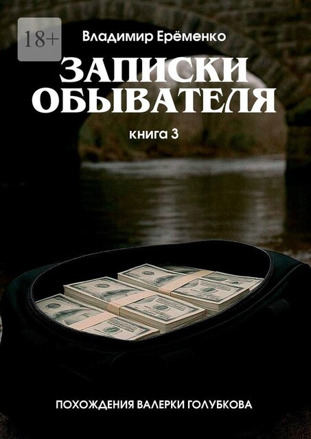 Записки обывателя. Книга 3. Похождения Валерки Голубкова, Владимир Еременко
