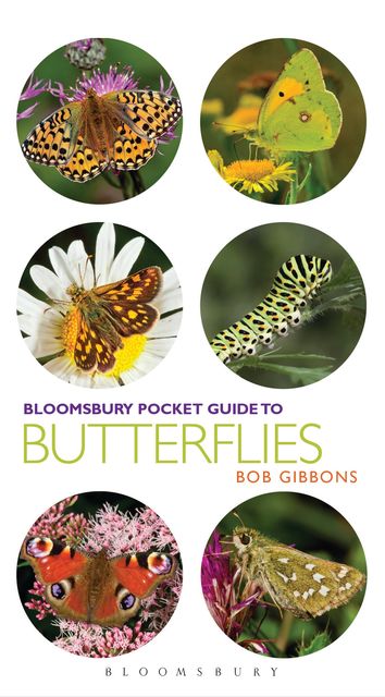 Pocket Guide to Butterflies, Bob Gibbons
