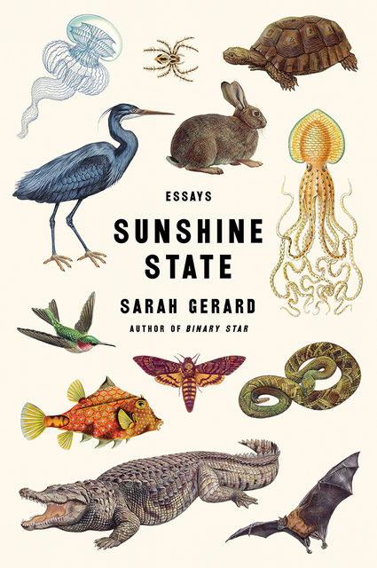 Sunshine State, Sarah Gerard