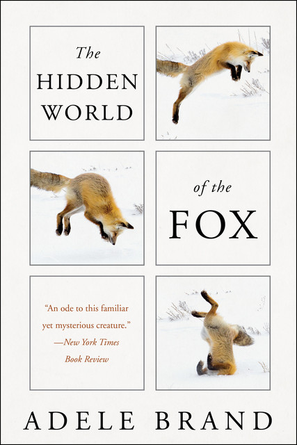 The Hidden World of the Fox, Adele Brand
