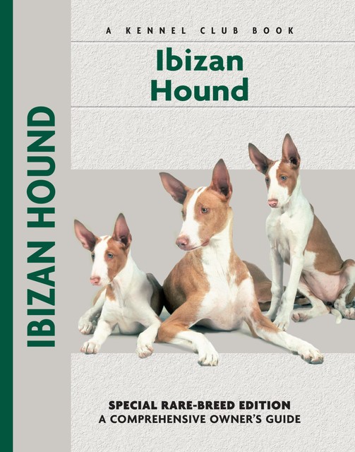 Ibizan Hound, Juliette Cunliffe