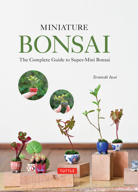 Miniature Bonsai, Terutoshi Iwai