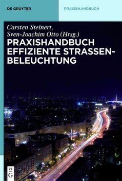 Praxishandbuch effiziente Straßenbeleuchtung, Otto, Sven-Joachim, Carsten Steinert