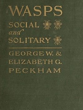 Wasps, Social and Solitary, E.G. Peckham
