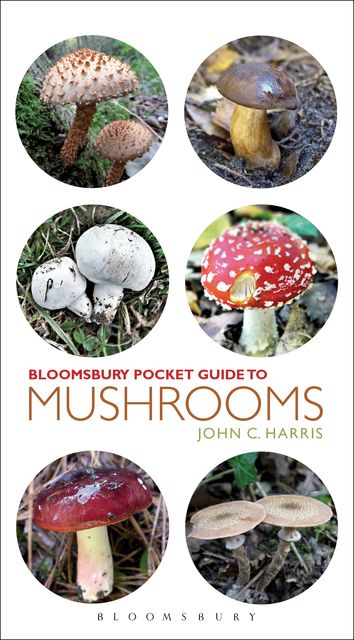 Pocket Guide to Mushrooms, John Harris