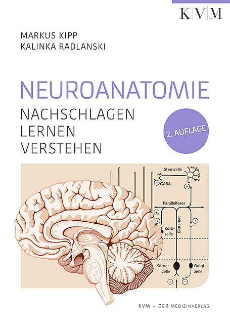 Neuroanatomie, Kalinka Radlanski, Markus Kipp