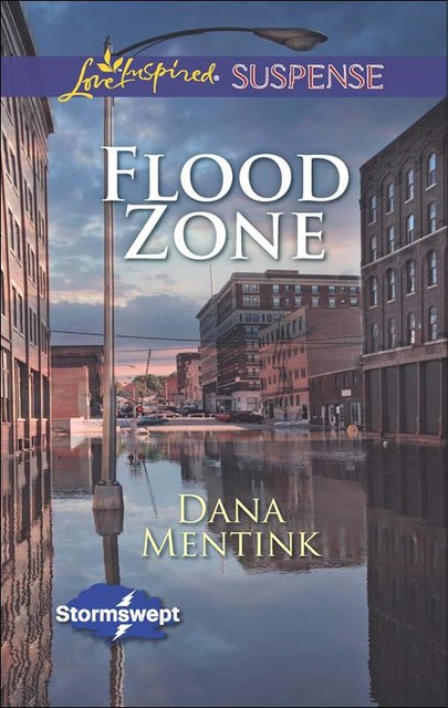 Flood Zone, Dana Mentink