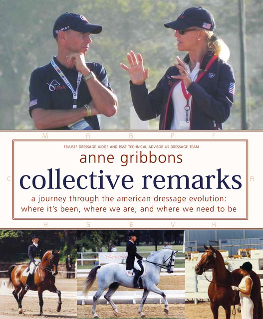 Collective Remarks, Anne Gribbons