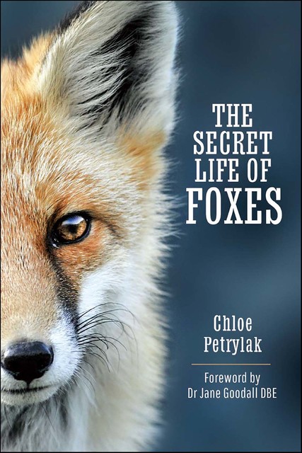 The Secret Life of Foxes, Chloe Petrylak