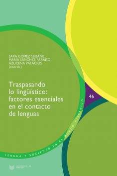 Traspasando lo lingüístico, Azucena Palacios, María Sánchez Paraíso, Sara Gómez Seibane