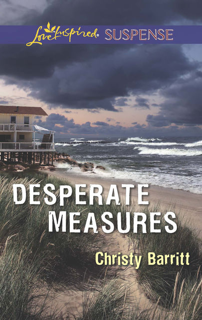 Desperate Measures, Christy Barritt