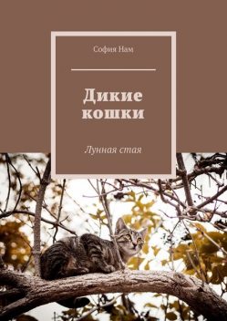 Дикие кошки. Лунная стая, София Нам