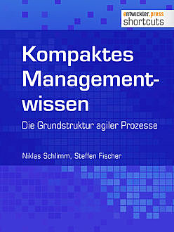 Kompaktes Managementwissen, Niklas Schlimm, Steffen Fischer