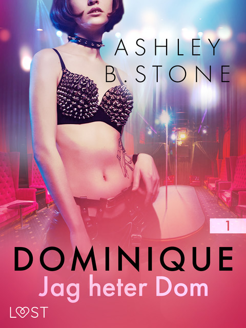 Dominique 1: Jag heter Dom, Ashley B. Stone