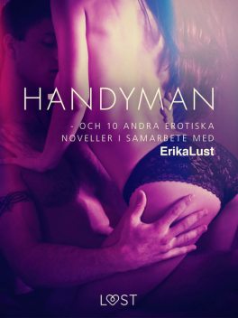 Handyman – och 10 andra erotiska noveller i samarbete med Erika Lust, Forfattere Diverse